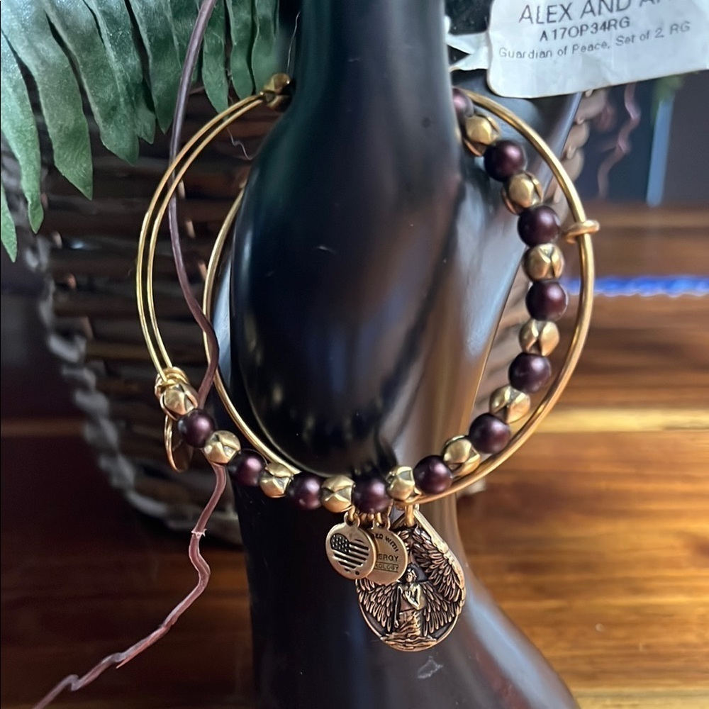 Alex and Ani Gold and Brown Charm Bracelet Set guardian of Peace comfort me